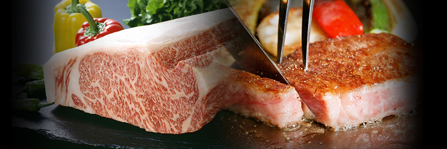Japanese steak